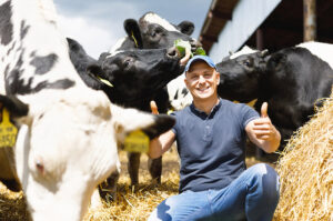 farmer giving a thumbs up surrounded by his cattle