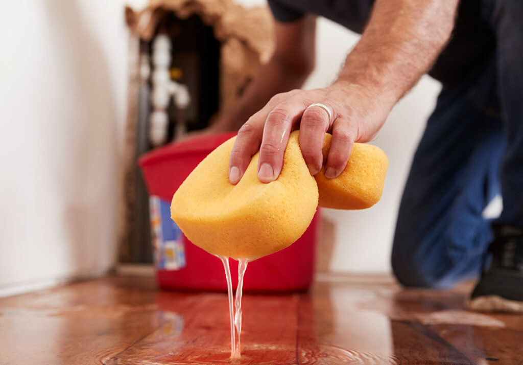 closeup of man's hand with a wet sponge, soaking up water as the result of a flood