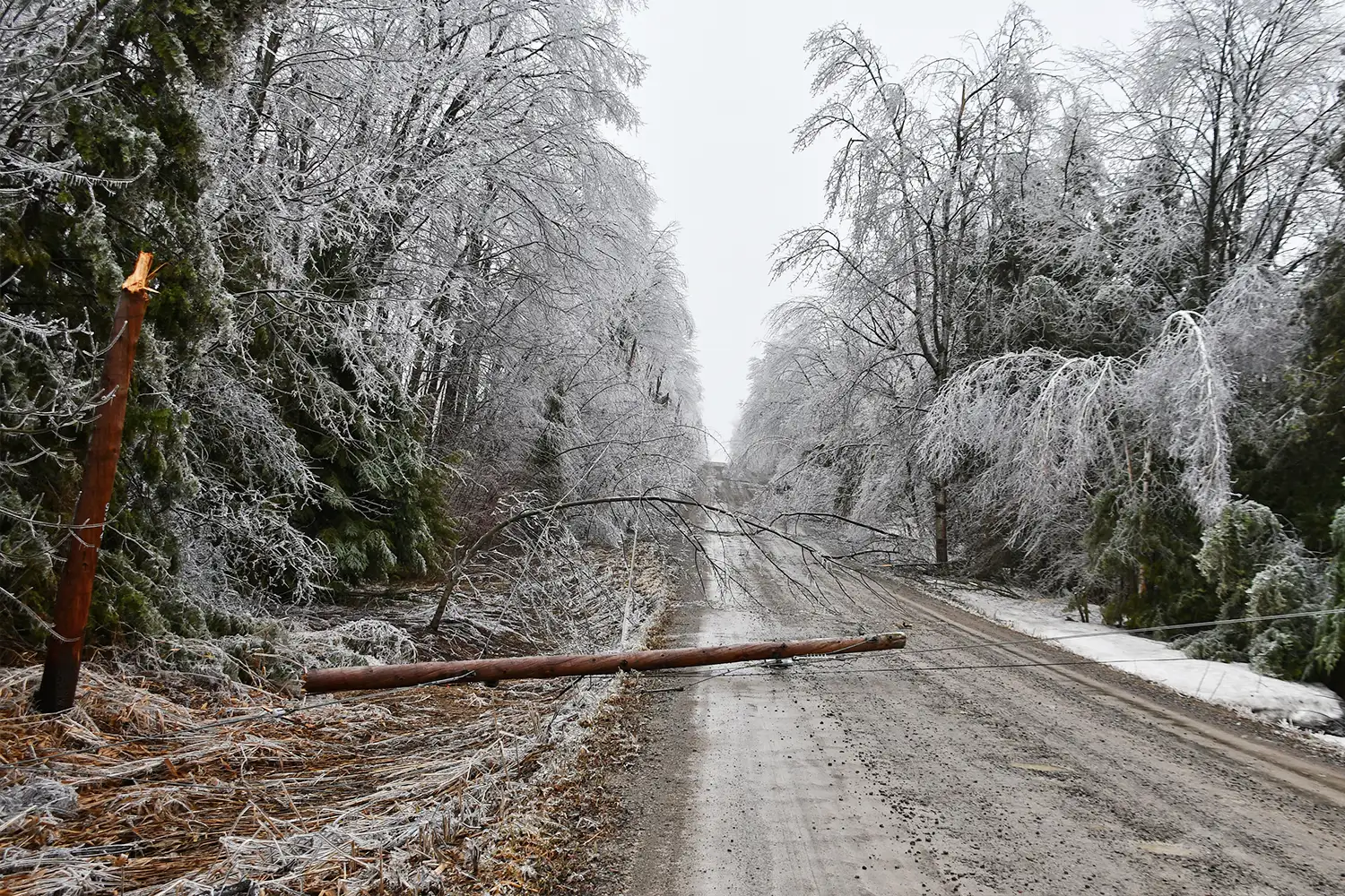 downed hydro pole after an ice storm on a rural road