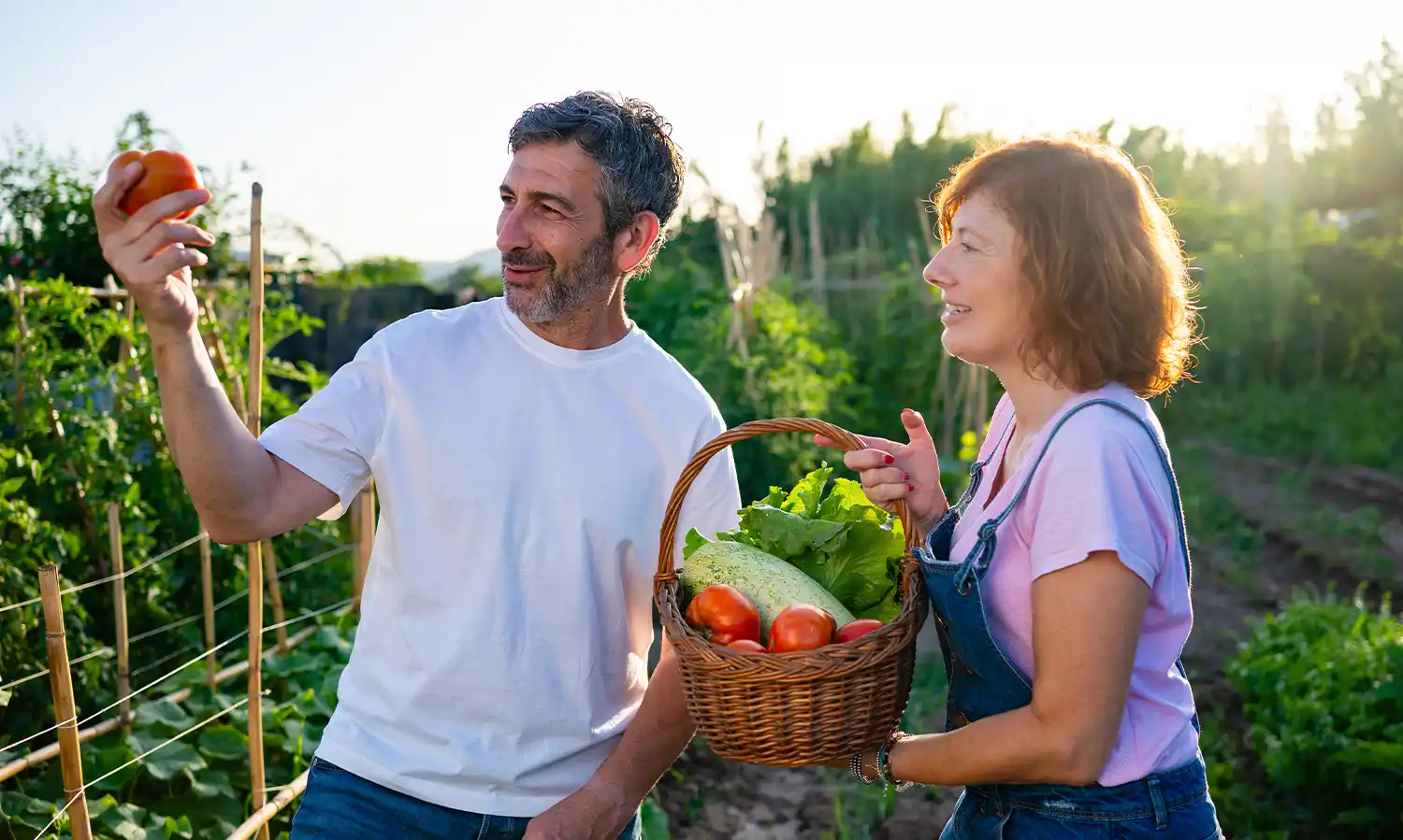 Happy farmers harvesting fresh organic vegetables in garden